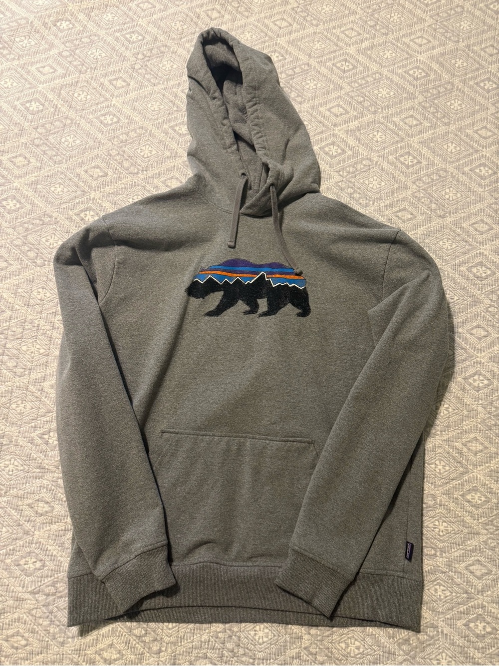 Patagonia hoodie